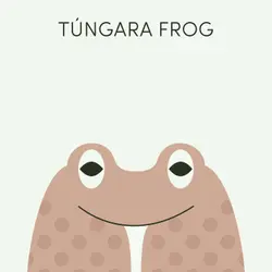 Túngara Frog | Week of November 28th