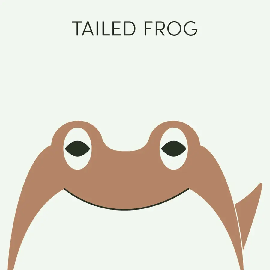 Frog of the Week