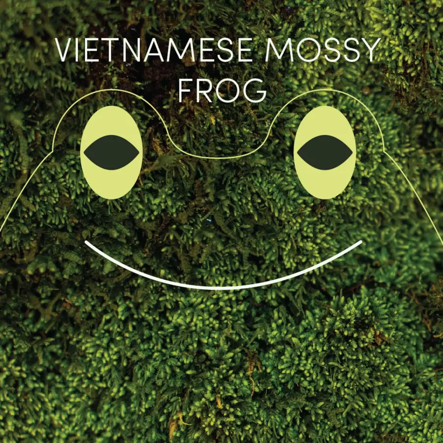 Frog of the Week