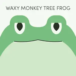 Waxy Monkey Tree Frog | Week of February 28th