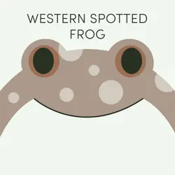 Week of August 25th | Western Spotted Frog