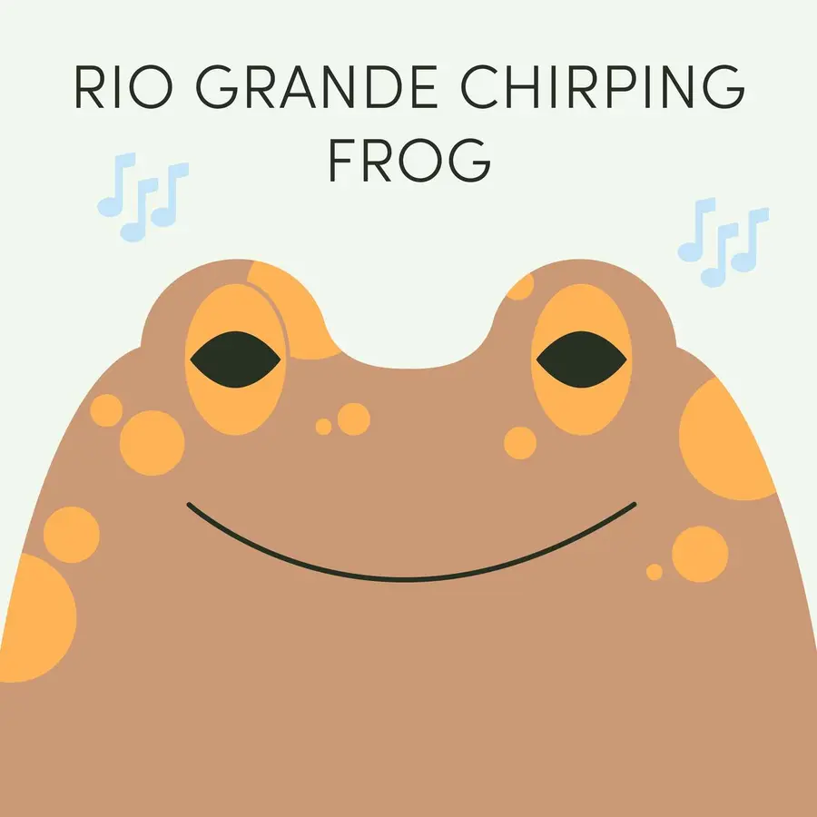 Frog of the Week
