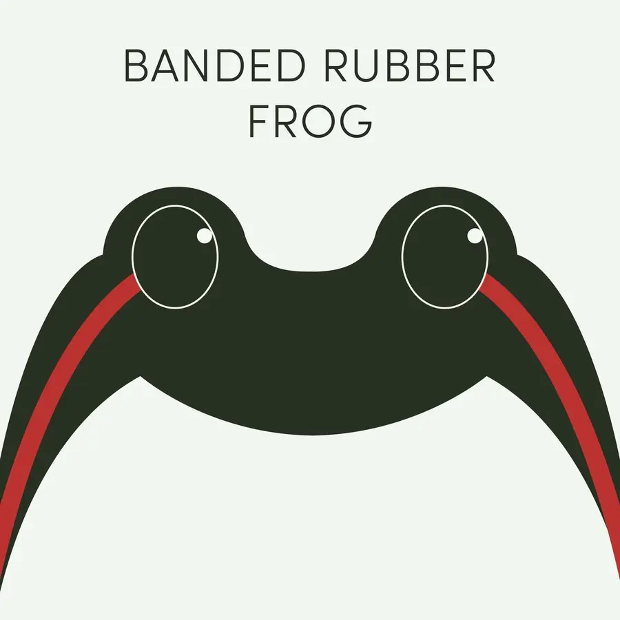 Frog of the Week