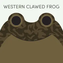 Western Clawed Frog | Week of June 22nd