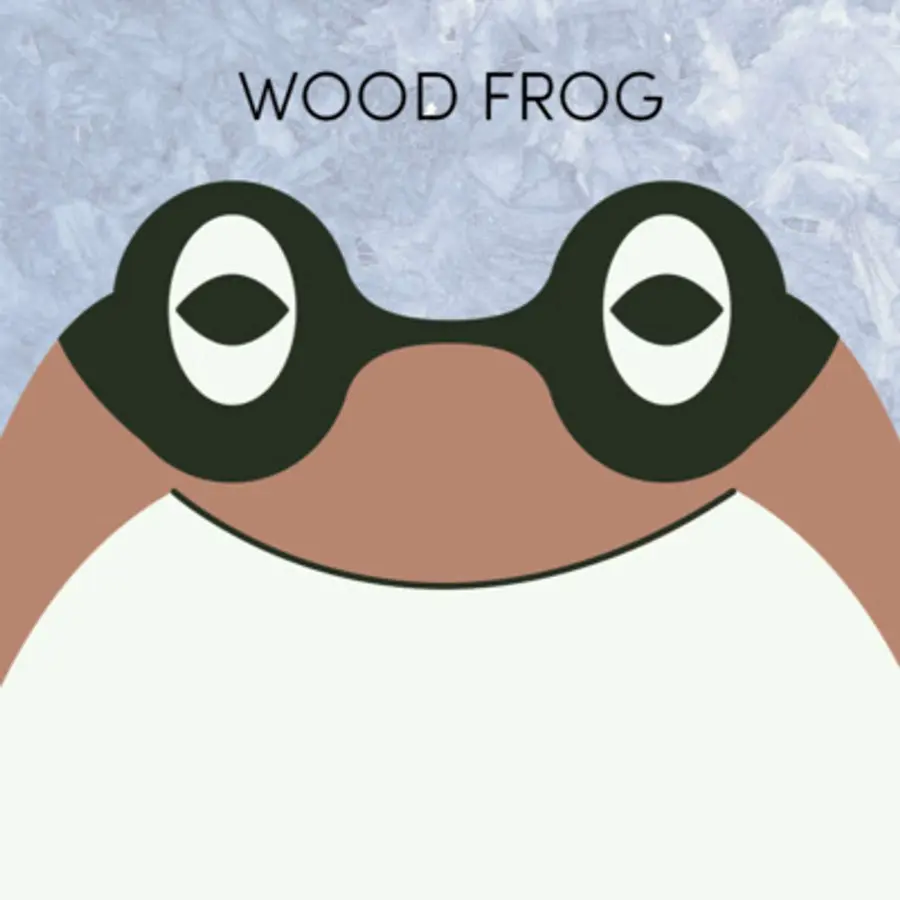Frog of the Week