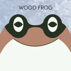 Wood Frog | Week of November 8th