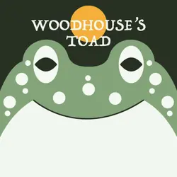 Woodhouse's Toad | Week of OcTOADber 27th