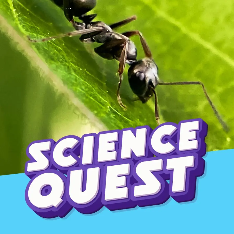 Fun Kids Science Quest