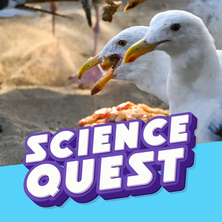 Fun Kids Science Quest