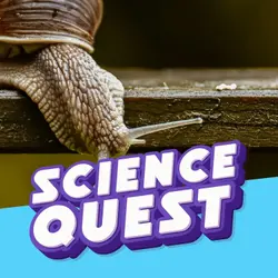 The Slime Factory: How Snails Engineer the Ultimate Sticky Goo! 🐌🧪