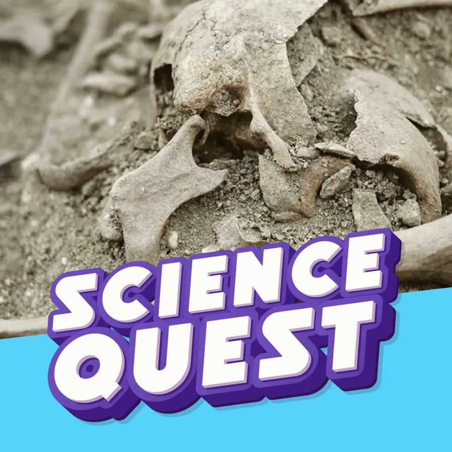 Fun Kids Science Quest