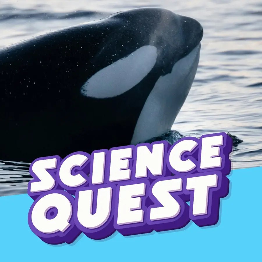 Fun Kids Science Quest