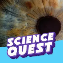 Why Doesn’t Our Nose Block What We See?
