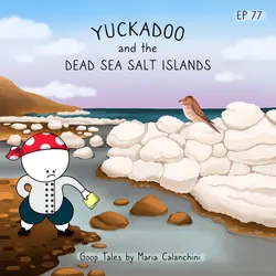 GT077 - Yuckadoo and the Dead Sea Salt Islands
