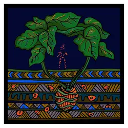 Hainuwele the Coconut Girl