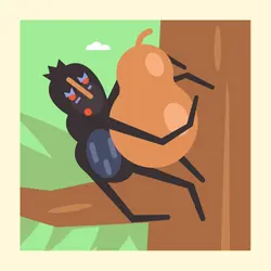Discover How Wisdom Came into the World with this African Folktale- Storytelling Podcast for Kids - Anansi Tries to Steal All the Wisdom in the World E:72