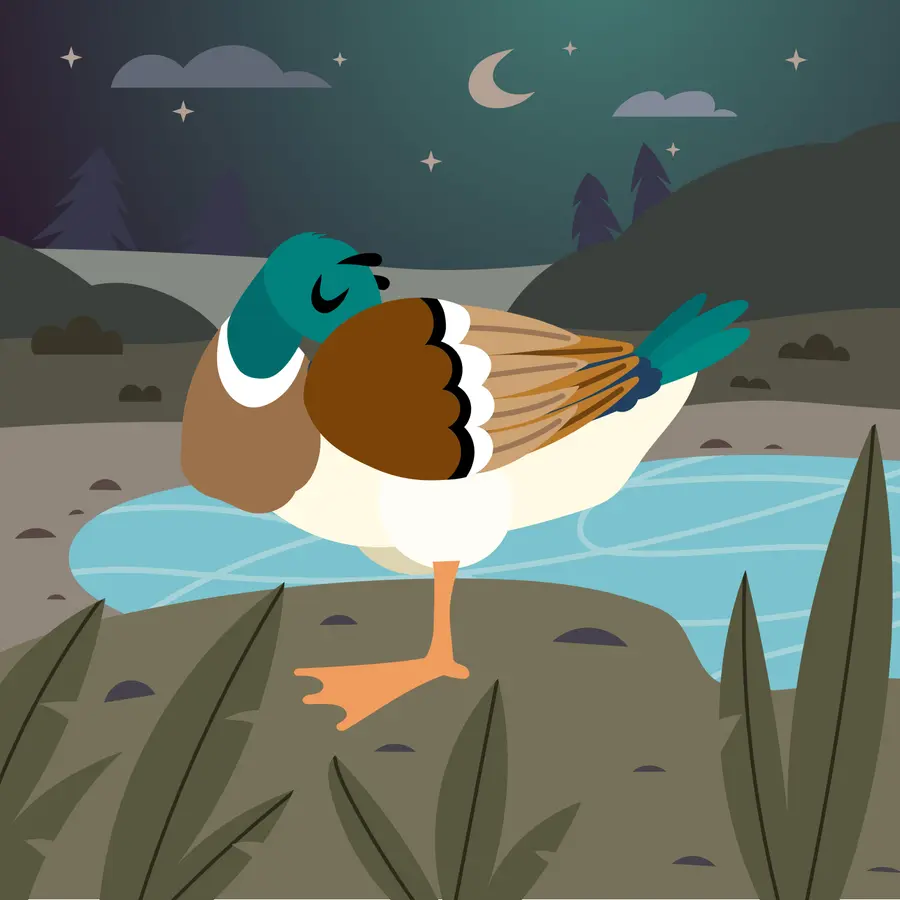 Journey with Story -  A Storytelling Podcast for Kids