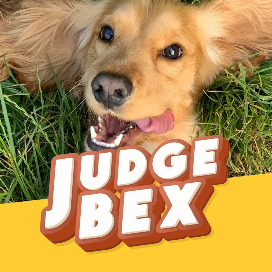 Judge Bex