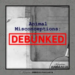 Animal Misconceptions: Debunked Extravaganza Vol. 1