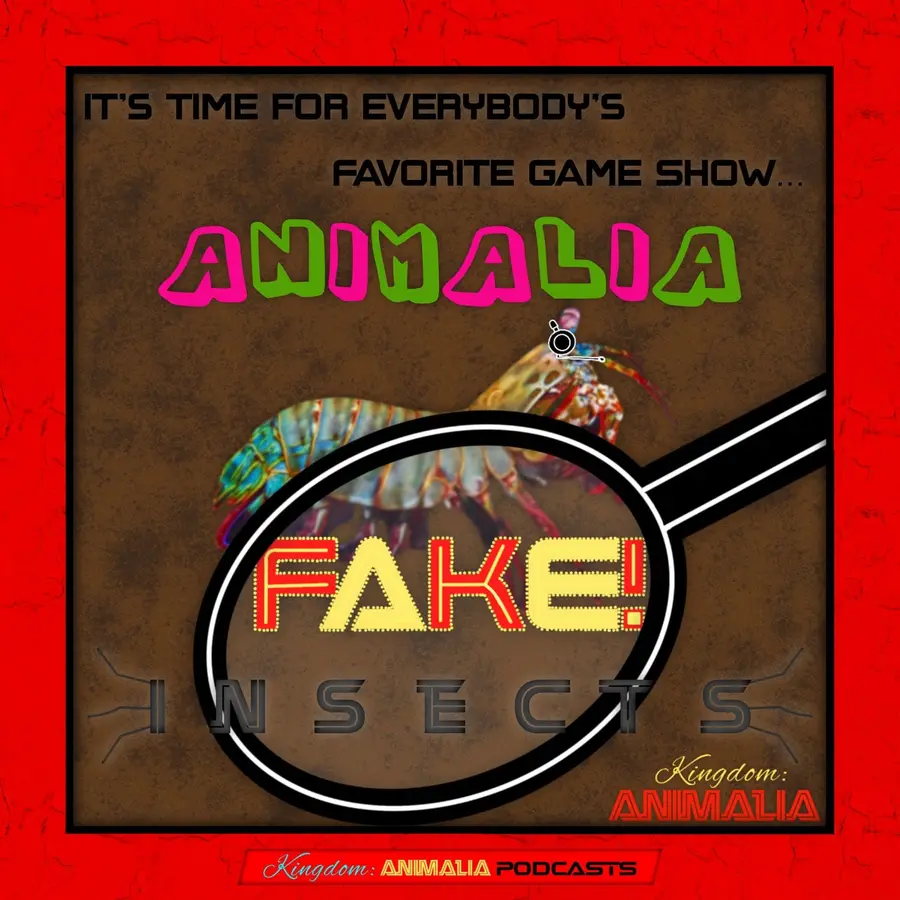 Kingdom: Animalia - A Zoology Podcast for Kids