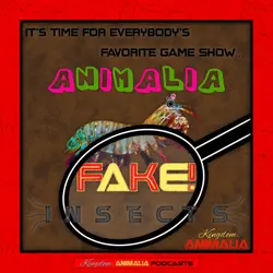 Animalia Fake! - Insects
