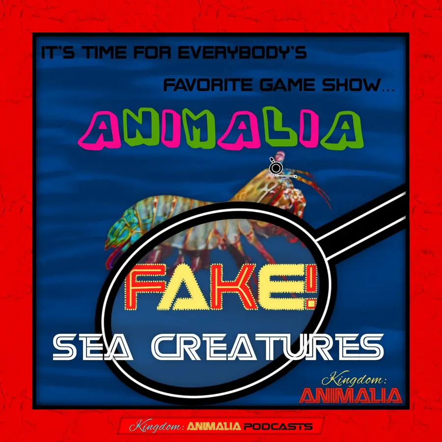 Kingdom: Animalia - A Zoology Podcast for Kids