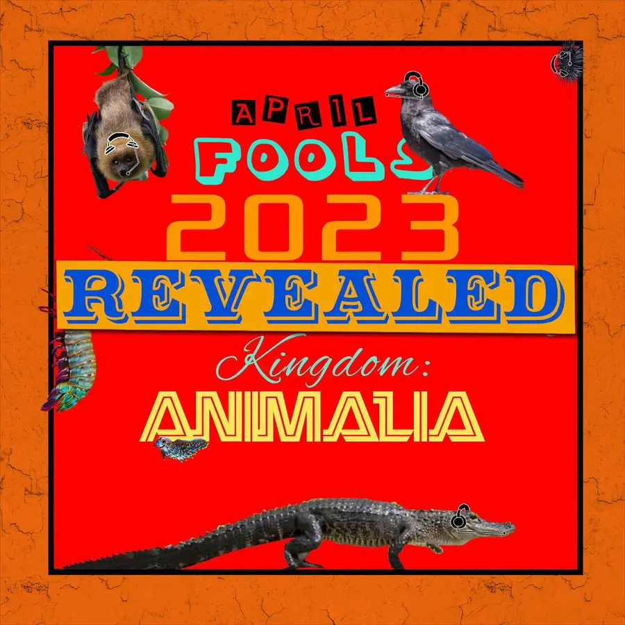 Kingdom: Animalia - A Zoology Podcast for Kids