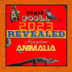 April Fools 2023 - The Big Reveal