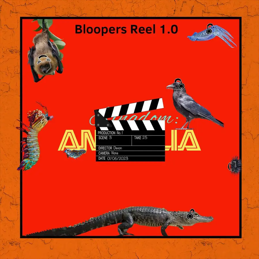 Kingdom: Animalia - A Zoology Podcast for Kids