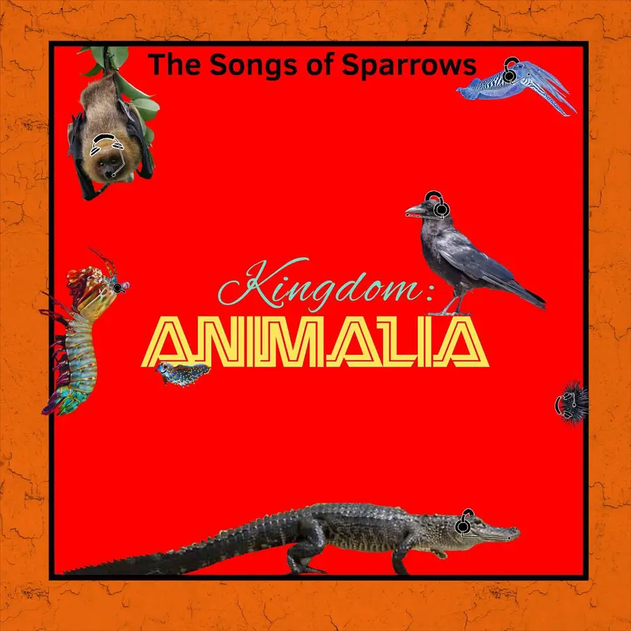 Kingdom: Animalia - A Zoology Podcast for Kids