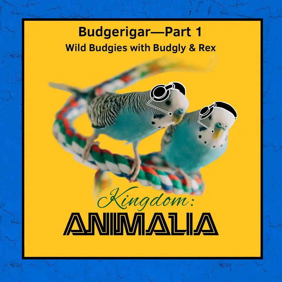 Kingdom: Animalia - A Zoology Podcast for Kids