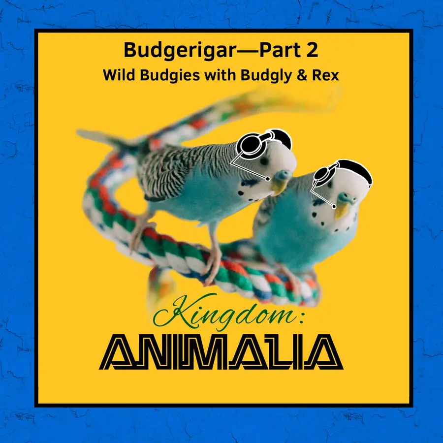 Kingdom: Animalia - A Zoology Podcast for Kids