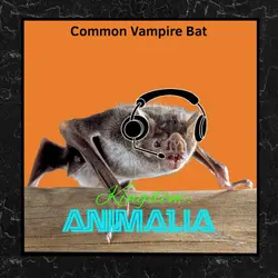 Common Vampire Bat (Halloween 2023)