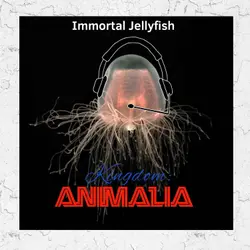 Immortal Jellyfish