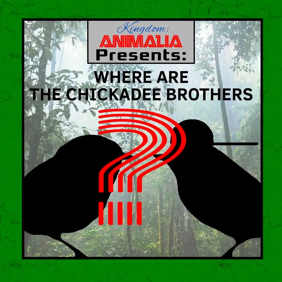 Kingdom: Animalia - A Zoology Podcast for Kids