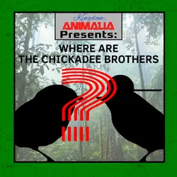 KA Presents: Where Are the Chickadee Brothers?