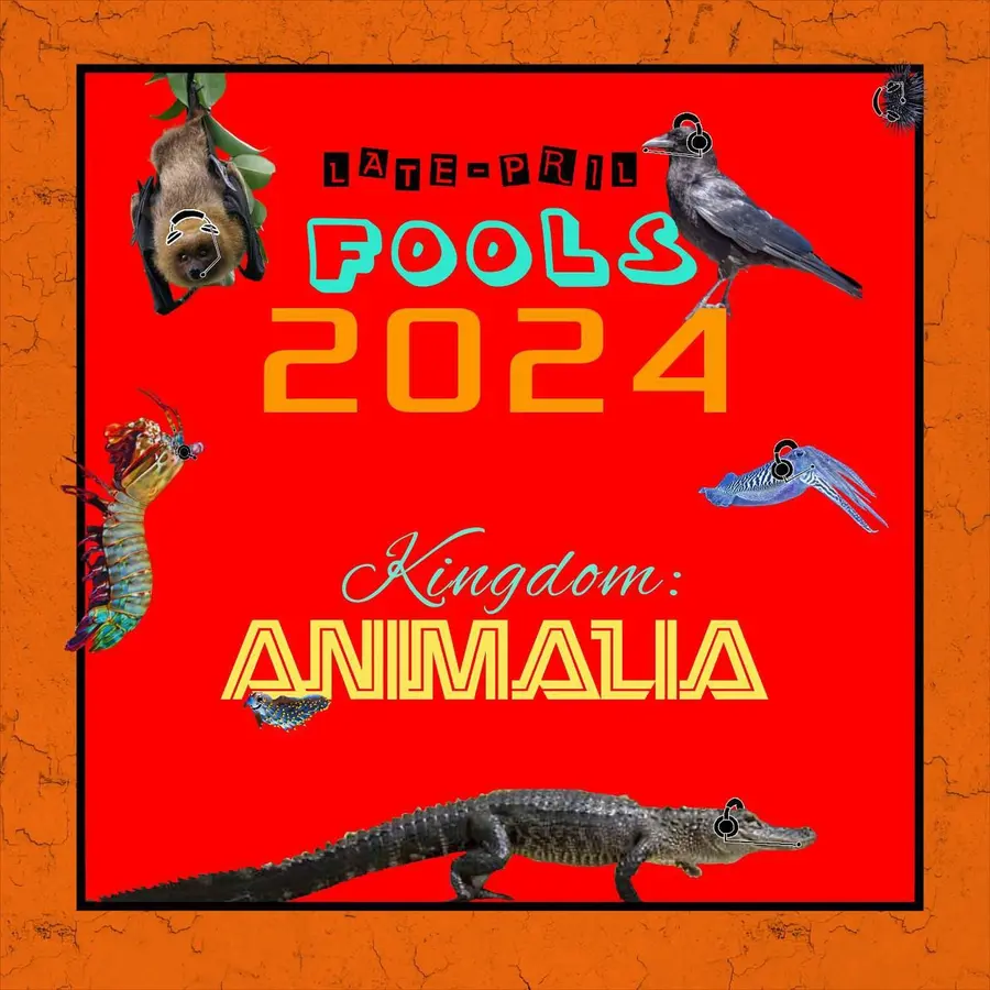 Kingdom: Animalia - A Zoology Podcast for Kids