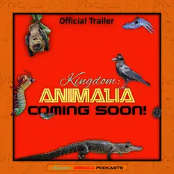 TRAILER: Kingdom: Animalia