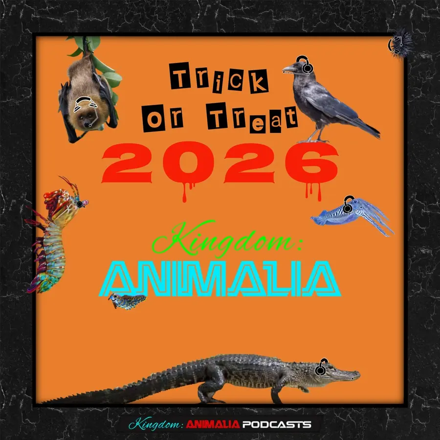 Kingdom: Animalia - A Zoology Podcast for Kids