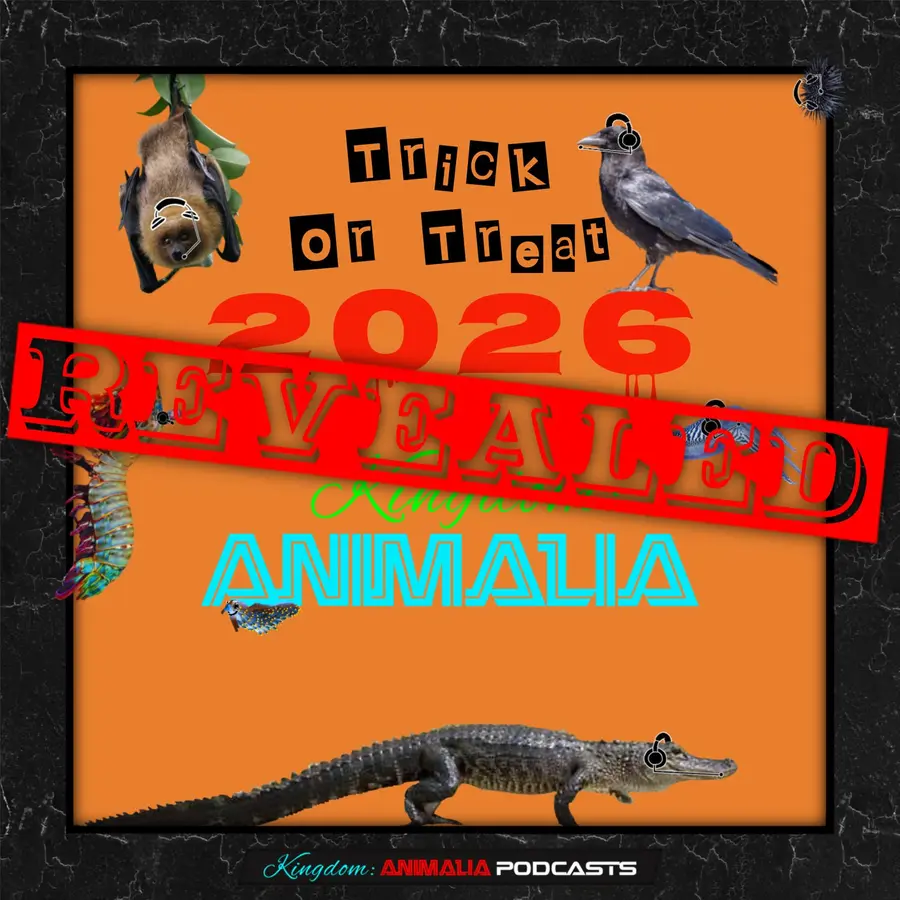 Kingdom: Animalia - A Zoology Podcast for Kids