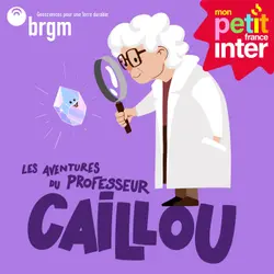 Les aventures du professeur Caillou