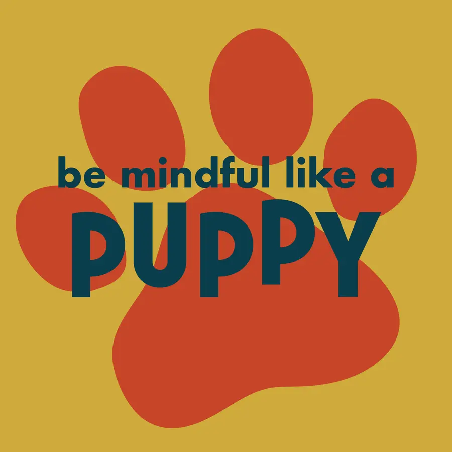 Like You: Mindfulness for Kids