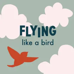 Flying Like a Bird