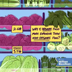 Why does organic food cost more than non-organic food?