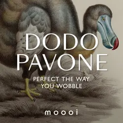 Dodo Pavone | Perfect the way you wobble
