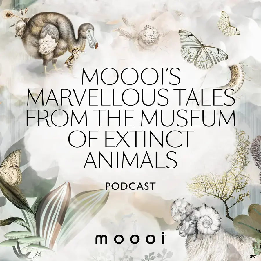 Moooi's Marvellous Tales from the Museum of Extinct Animals