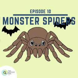 10: Monster Spiders