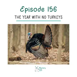 156: The Year of No Turkeys 