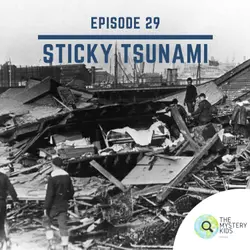 29: Sticky Tsunami