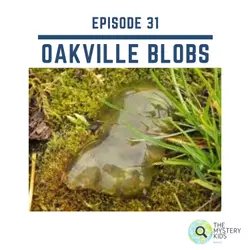 31: Oakville Blobs